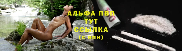 трава Арсеньев
