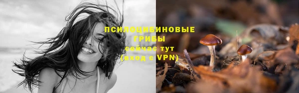 MDMA Premium VHQ Армянск