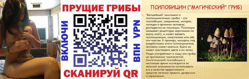 Галлюциногенные грибы Psilocybe  mega ссылка  Нерюнгри 