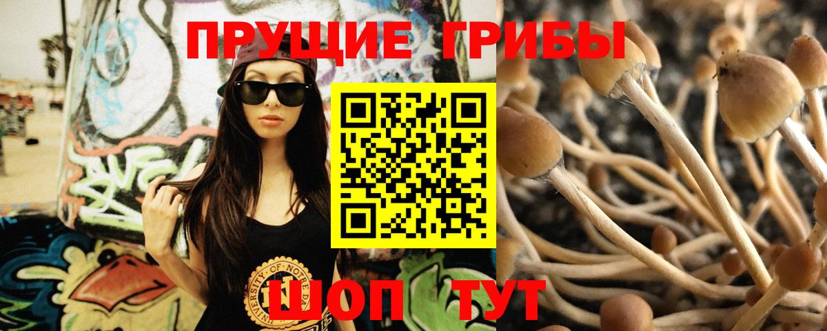 Галлюциногенные грибы ЛСД  Галлюциногенные грибы Magic Shrooms  Вход с VPN  Нерюнгри 