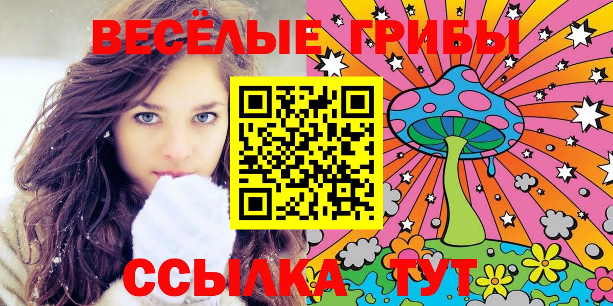 Галлюциногенные грибы Cubensis Нерюнгри